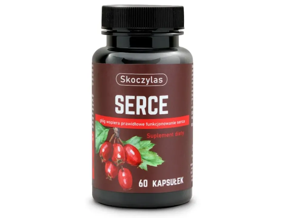 Serce - 2